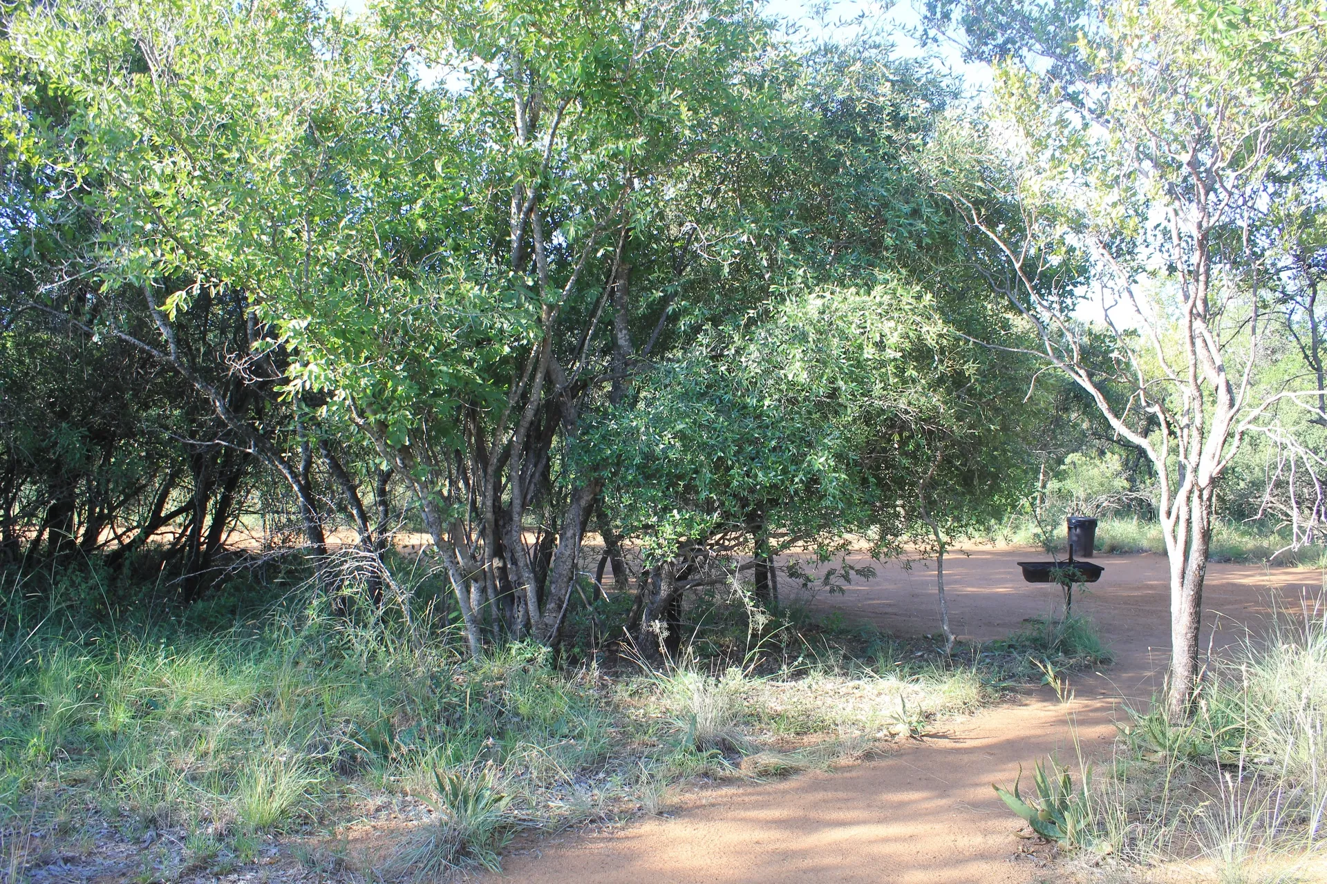 Krimpvark Private Bush Camp