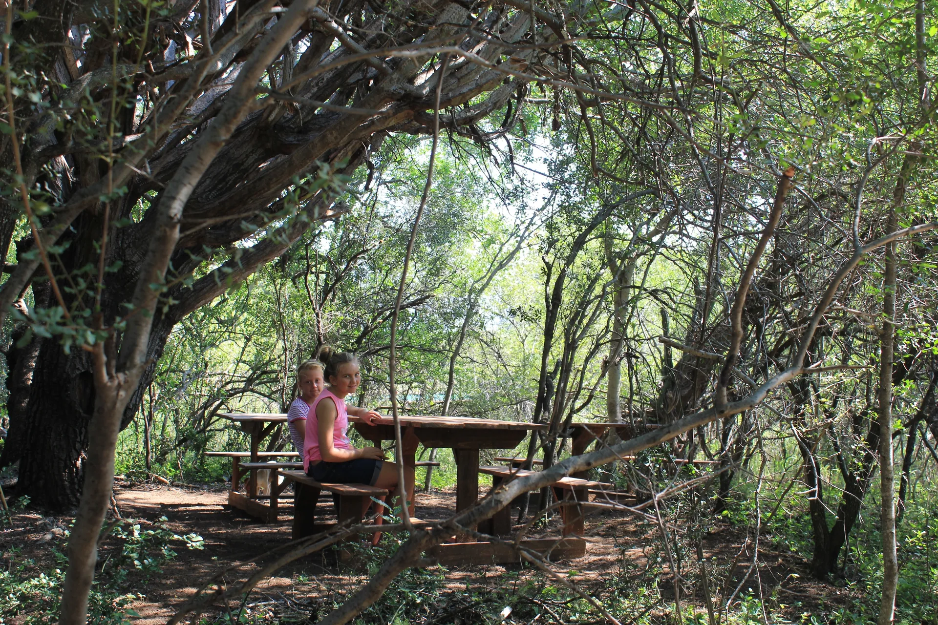 Bushveld scenery at Rust Oord