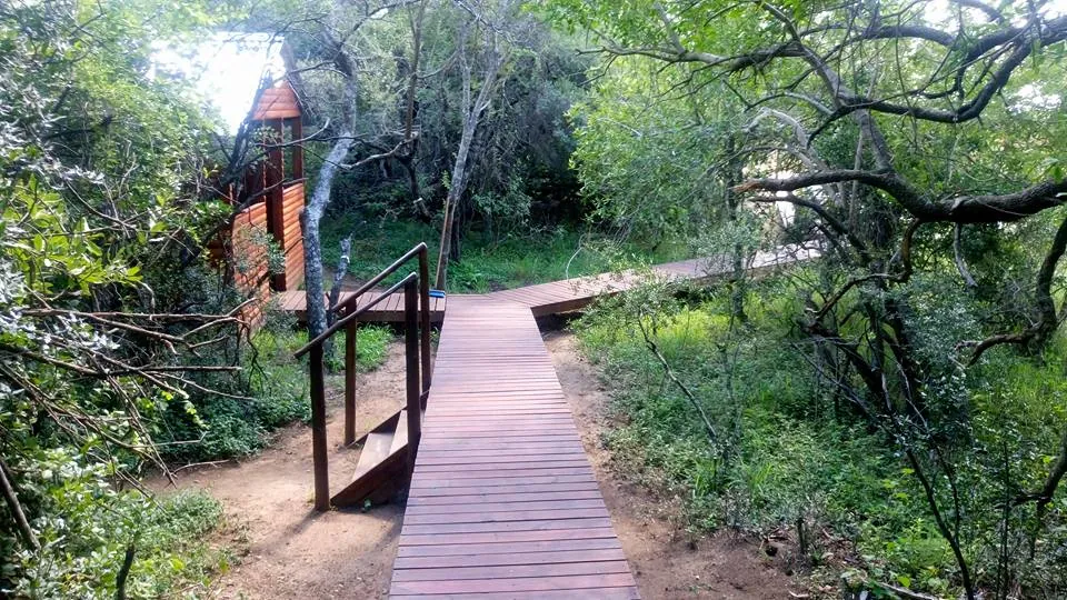 Rust Oord bushveld landscape