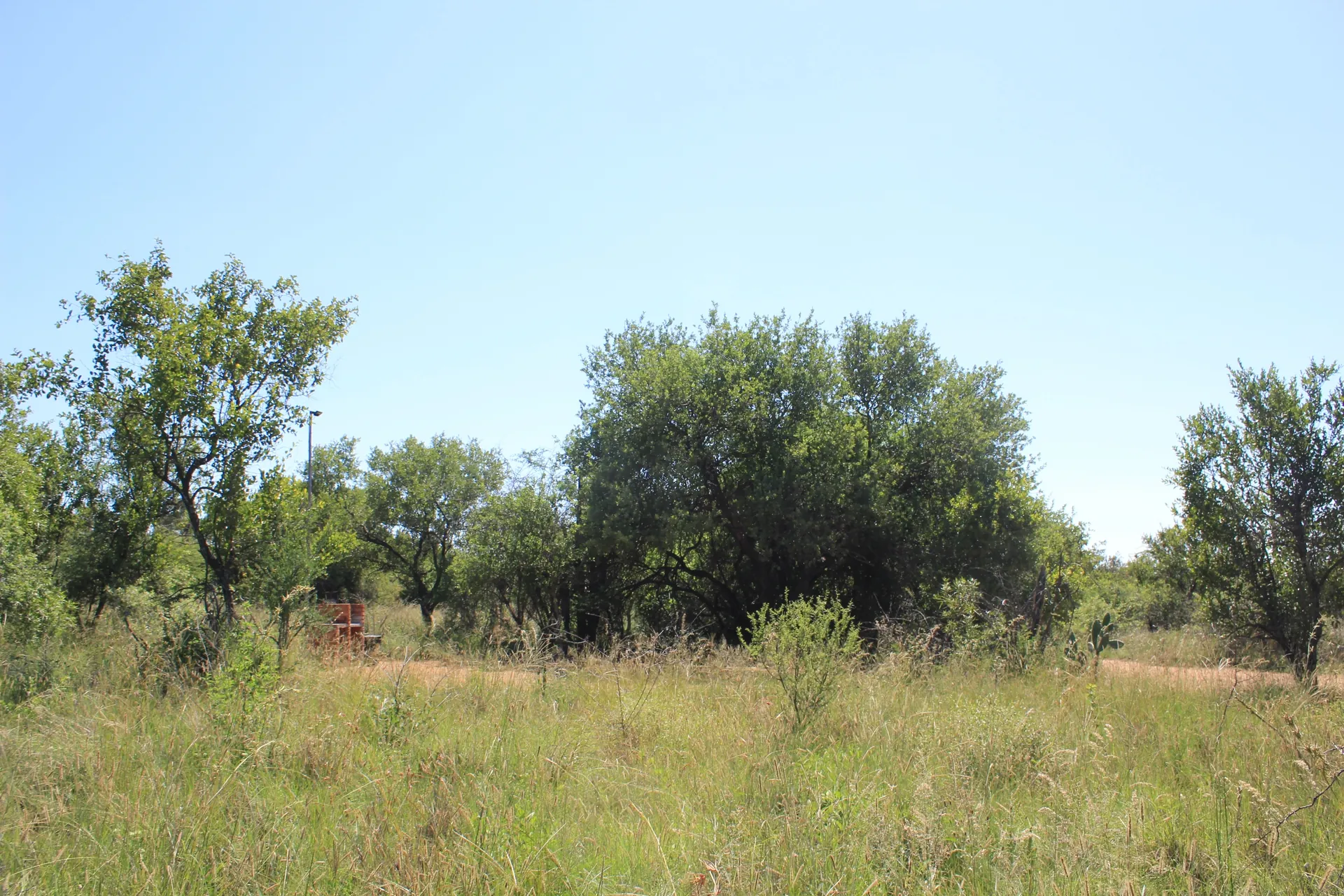 Rust Oord camping stands view