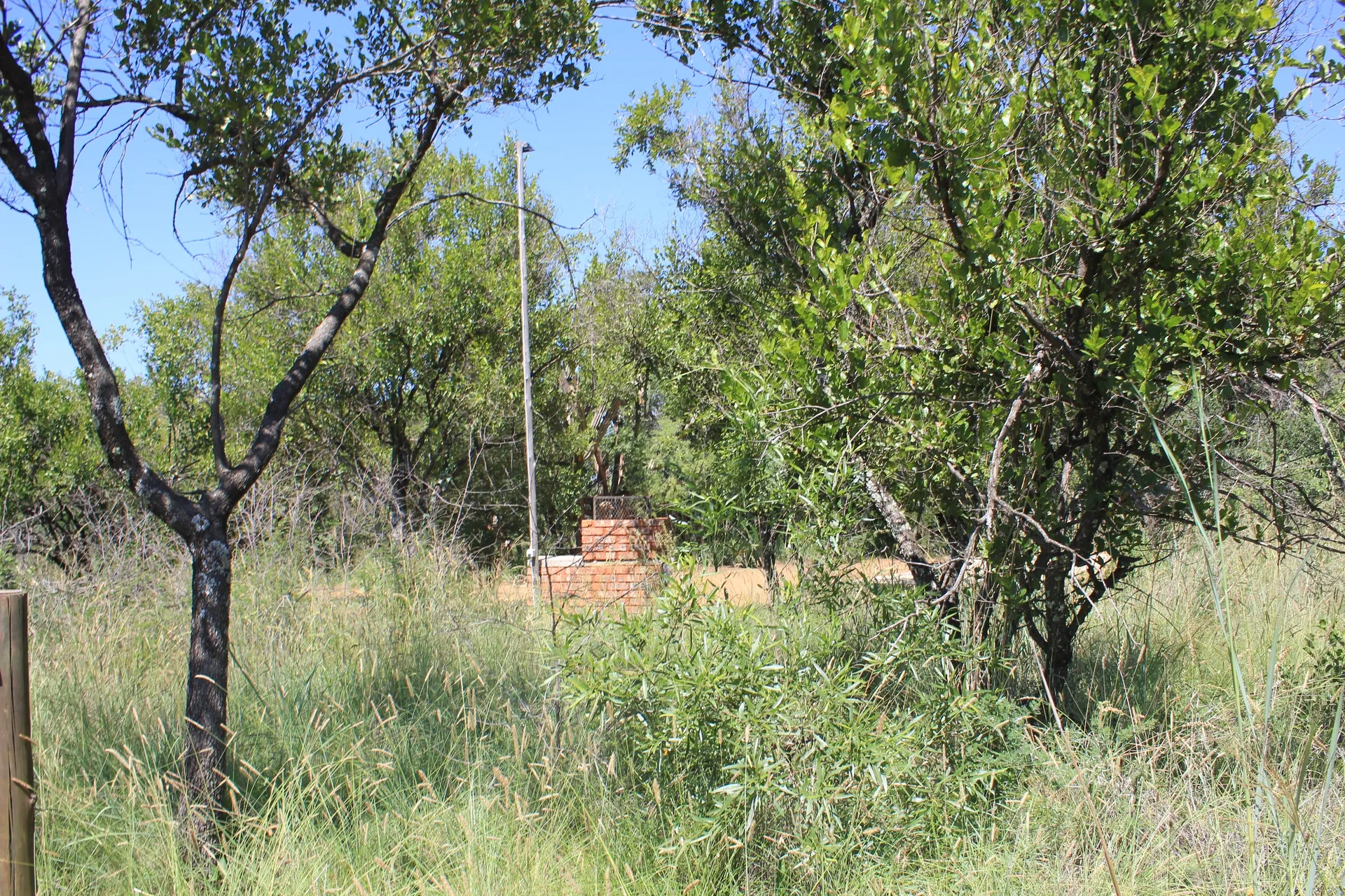 Camping stands overview 3