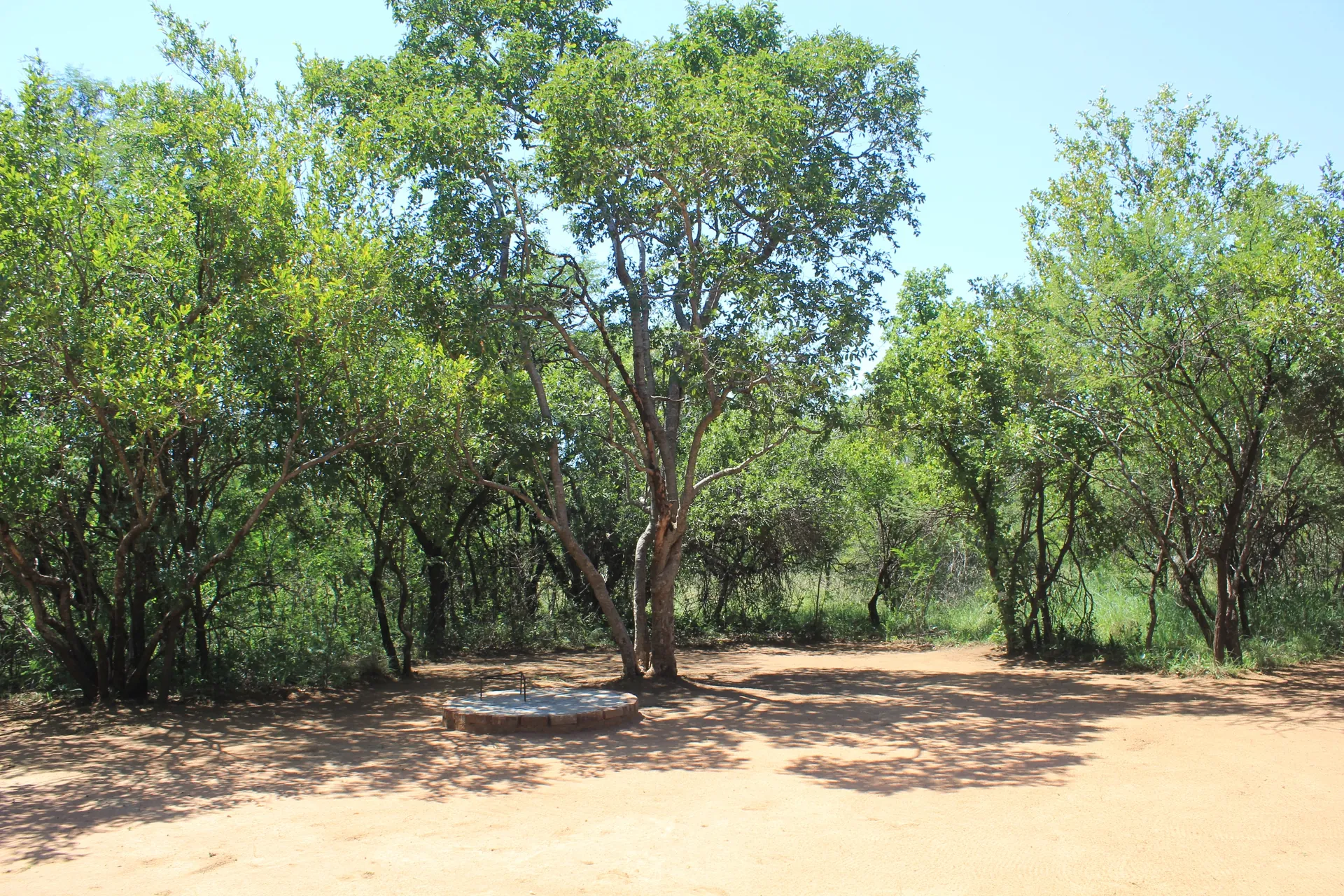 Vlakvark Private Bush Camp