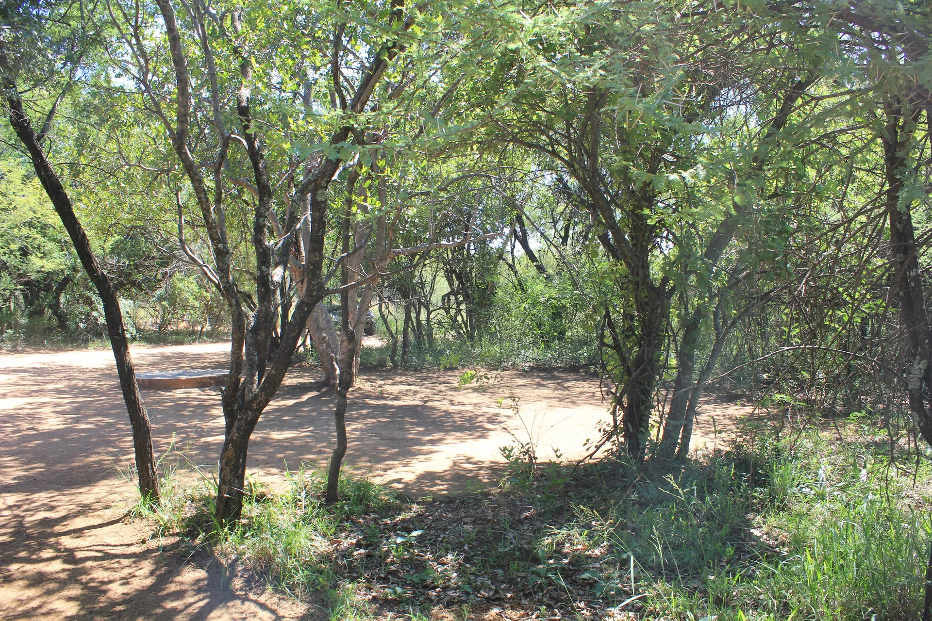 Vlakvark Private Bush Camp